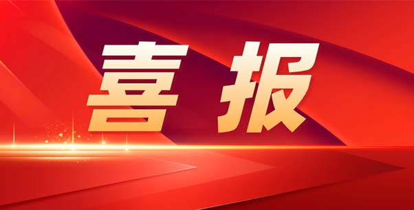喜報(bào)！熱烈祝賀我司榮獲江蘇省“專精特新”企業(yè)稱號