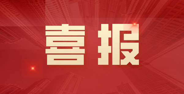 喜報(bào)！華日升公司榮獲各級表彰